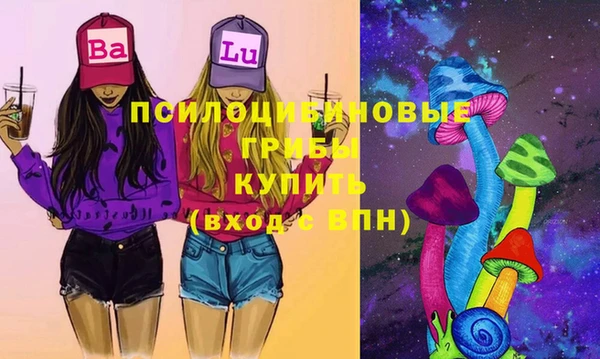 гидра Абаза