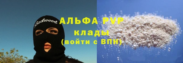 гидра Абаза