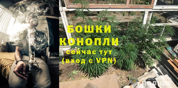 гидра Абаза