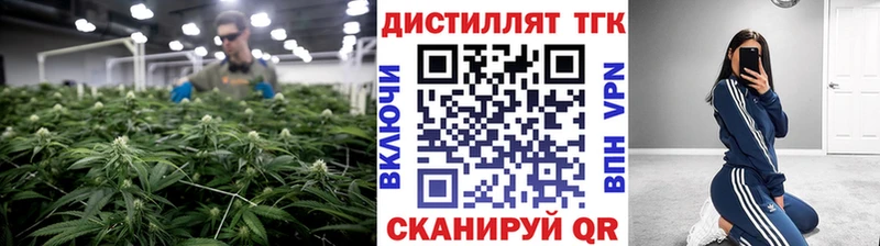 дарнет шоп  это формула  ТГК вейп с тгк  Ладушкин 